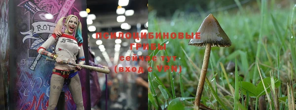 mdpv Абдулино